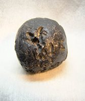 TEKTITE